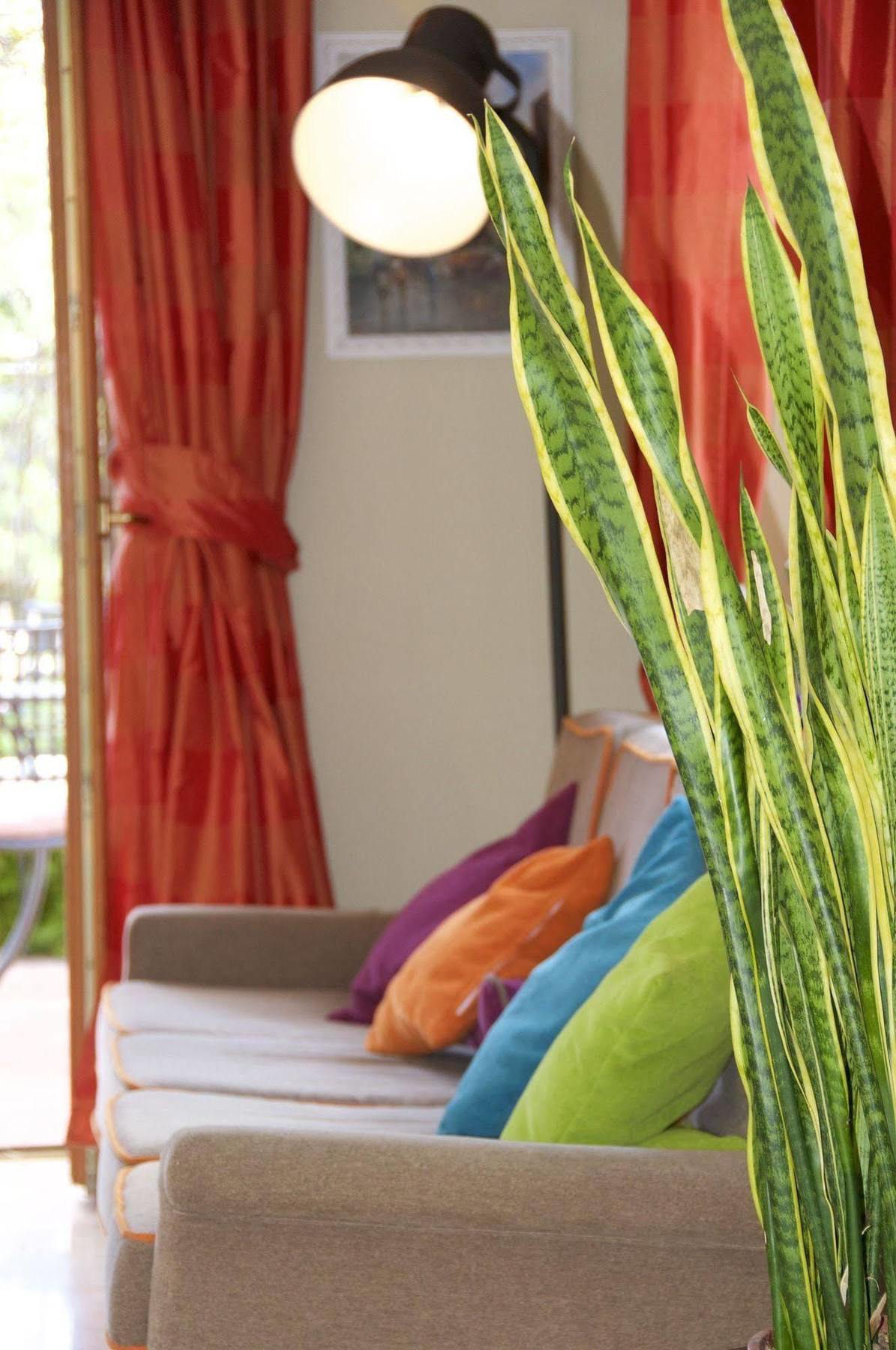 Hotel Tirrenia Сорренто Экстерьер фото